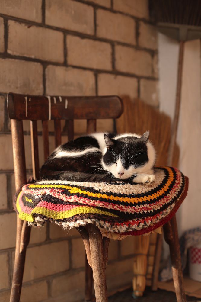 Photograph by Алексей Шевцов