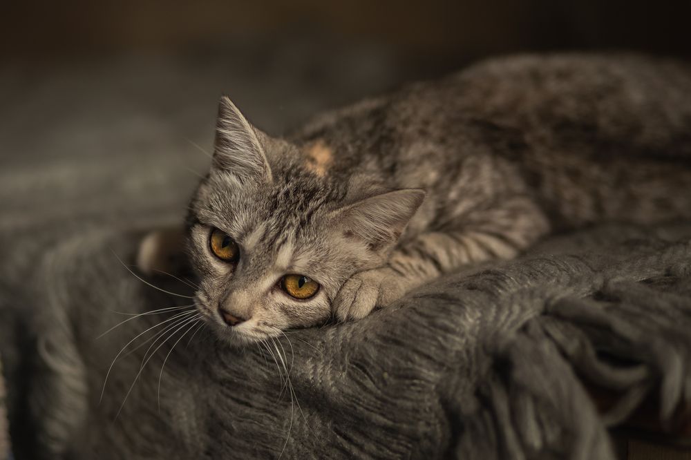 Photograph by Валентина Князева