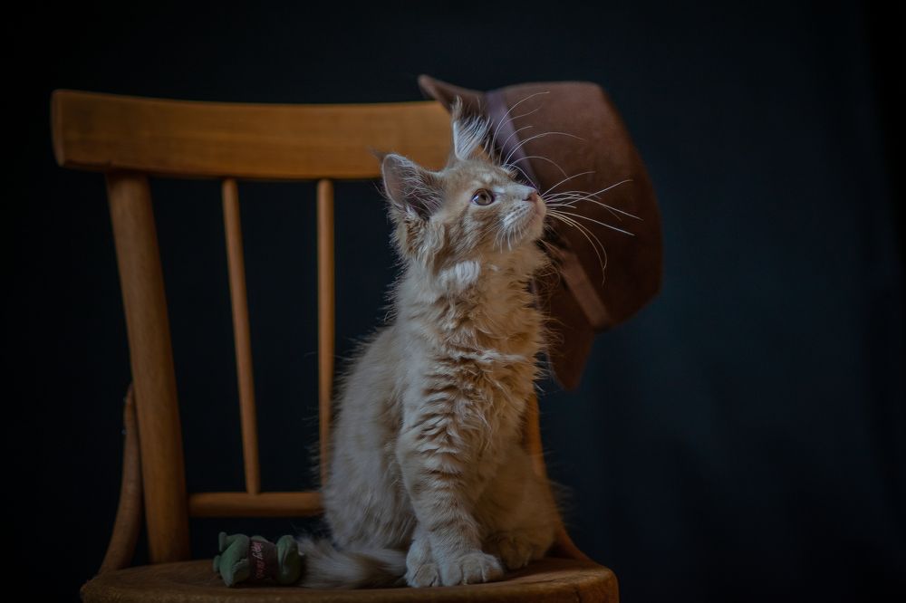 Photograph by Валерий Сарак