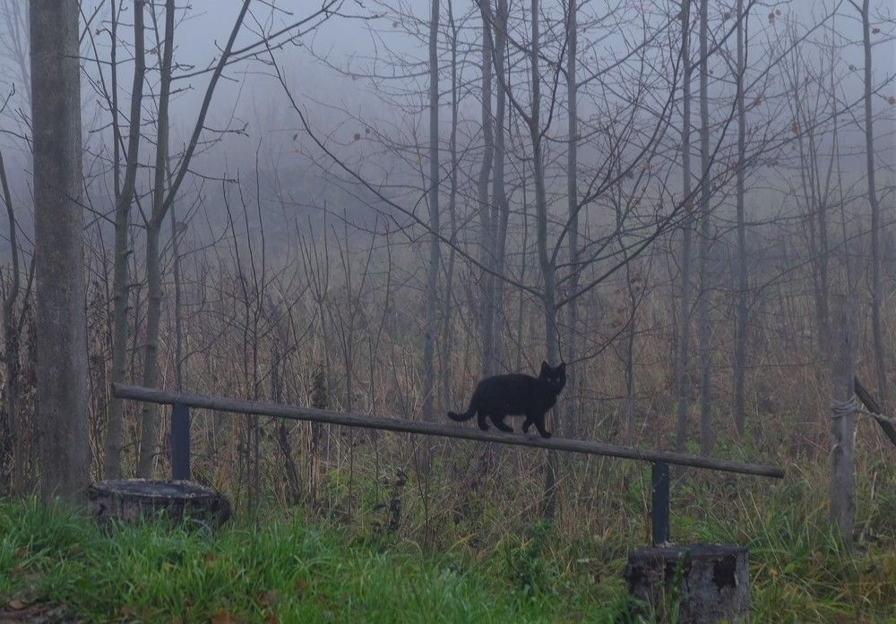 Photograph by Лариса Андреева