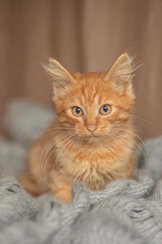 Photograph by Валентина Князева