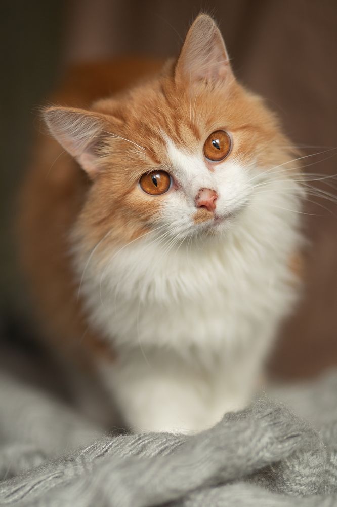 Photograph by Валентина Князева