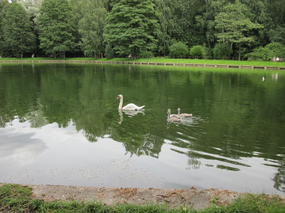 Фотография автора George Samuel