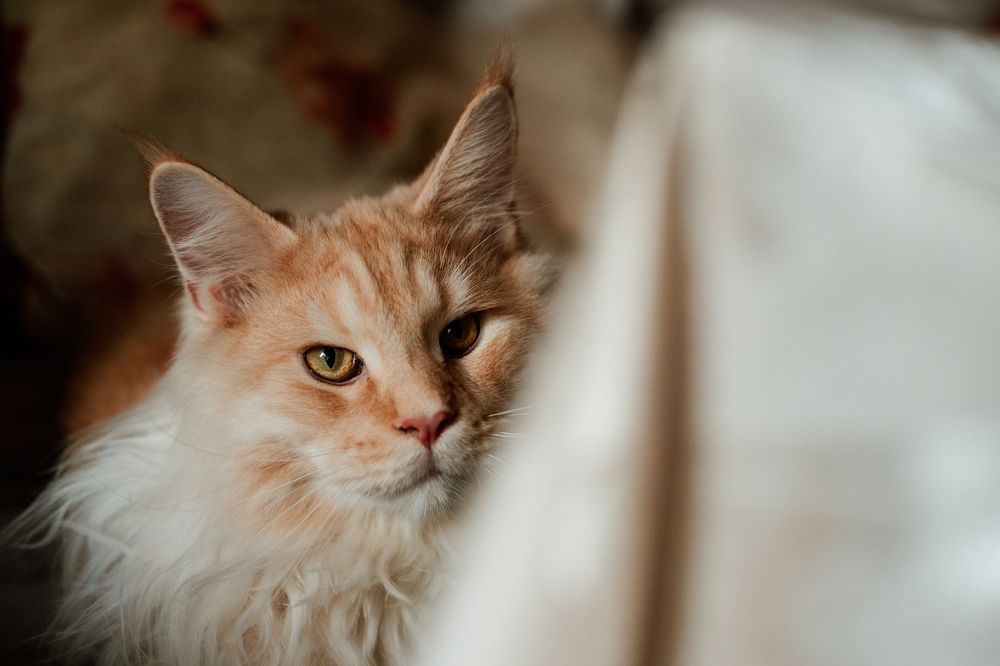 Фотография автора Дарина Фельдман