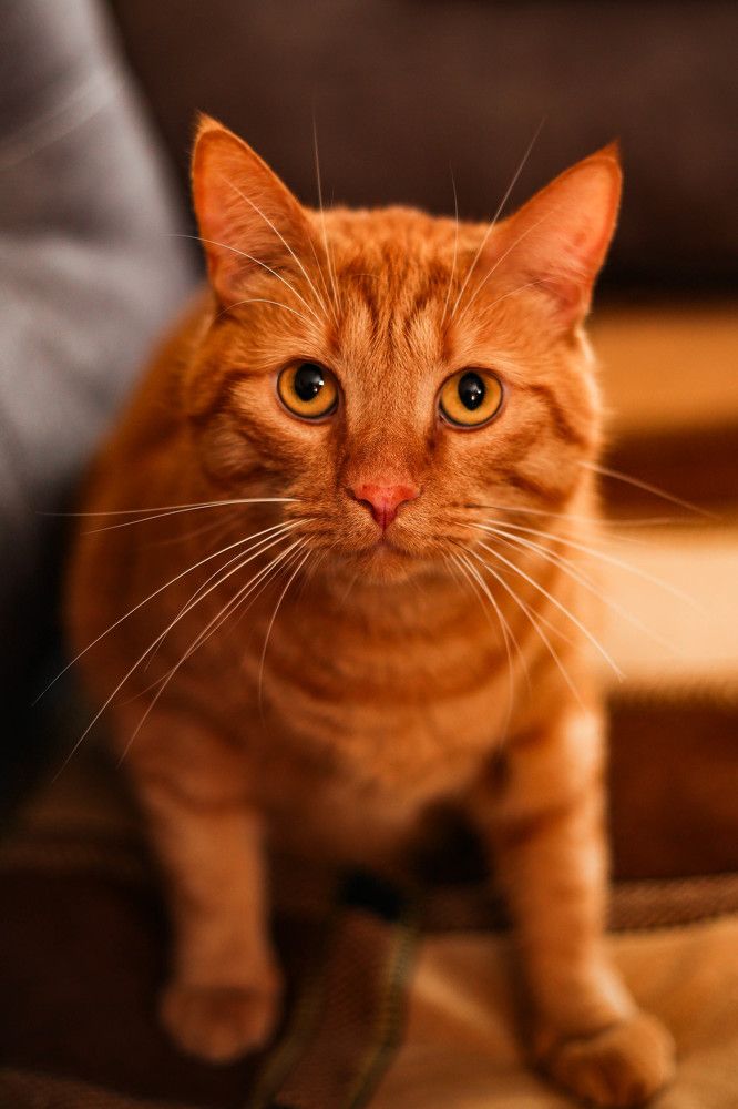 Photograph by Наталья Муравейко