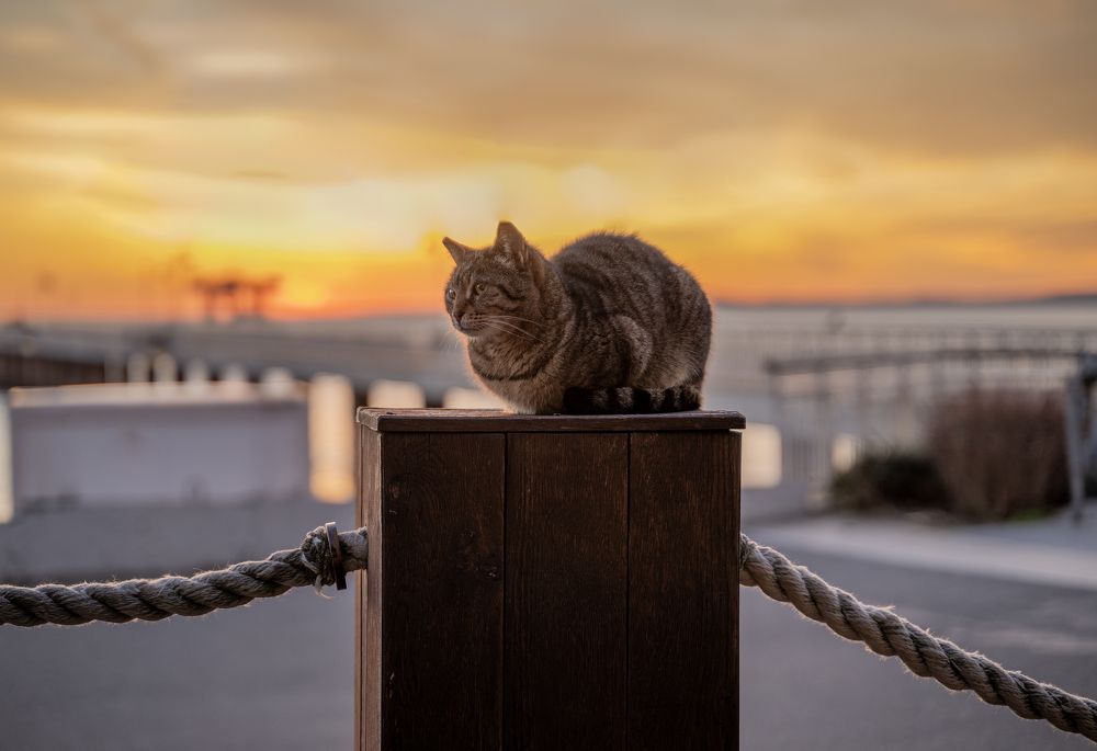 Photograph by Danail Dimov