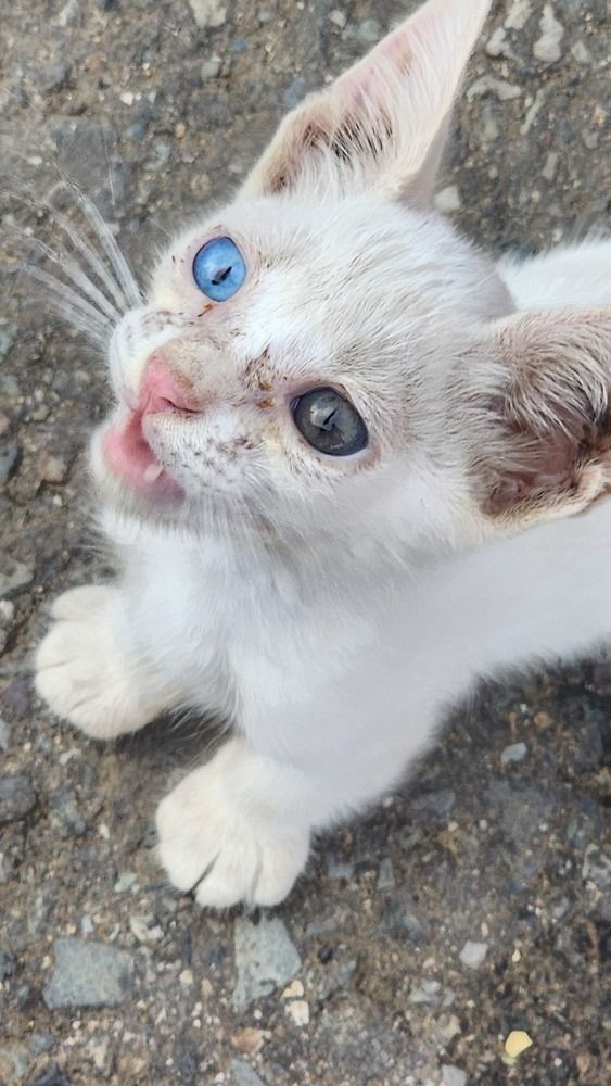 Фотография автора Amaank.mba