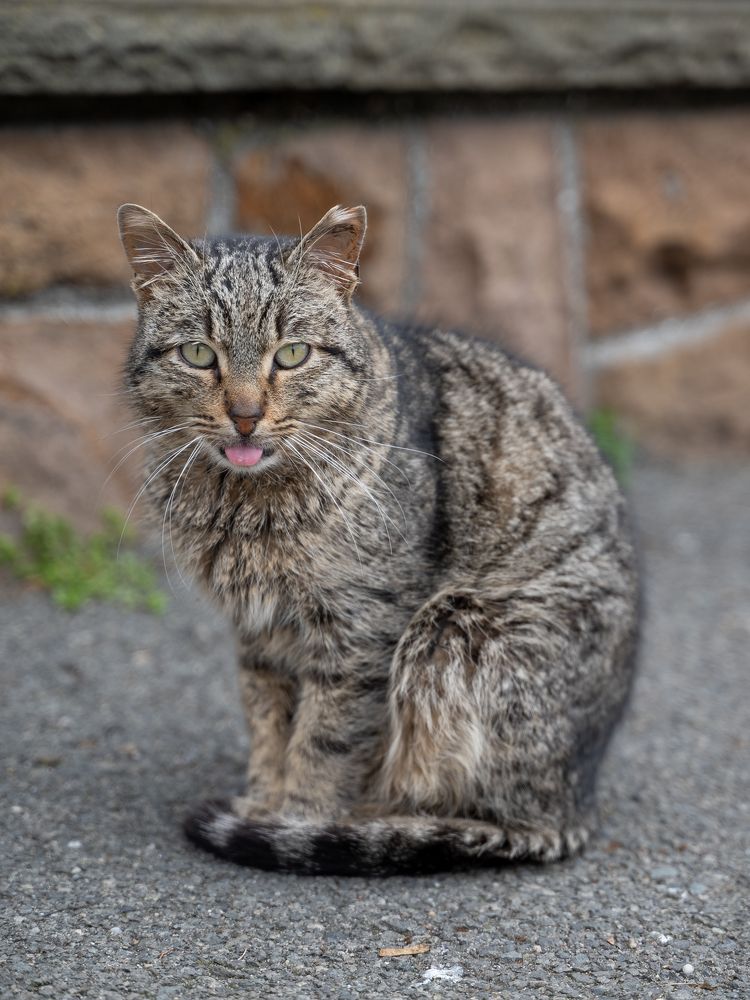 Photograph by Danail Dimov