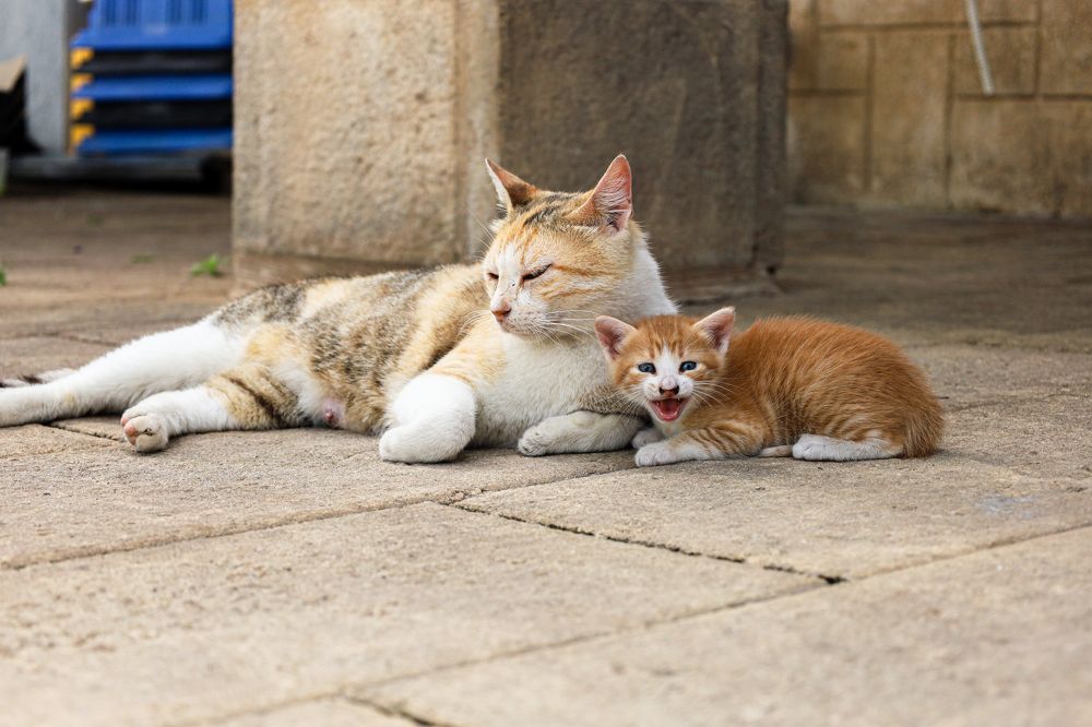 Photograph by Sharone