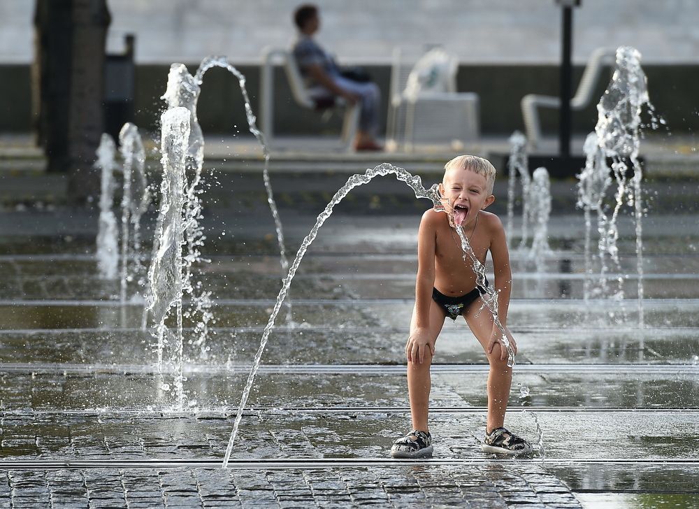 Фотография автора Михаил Гущин