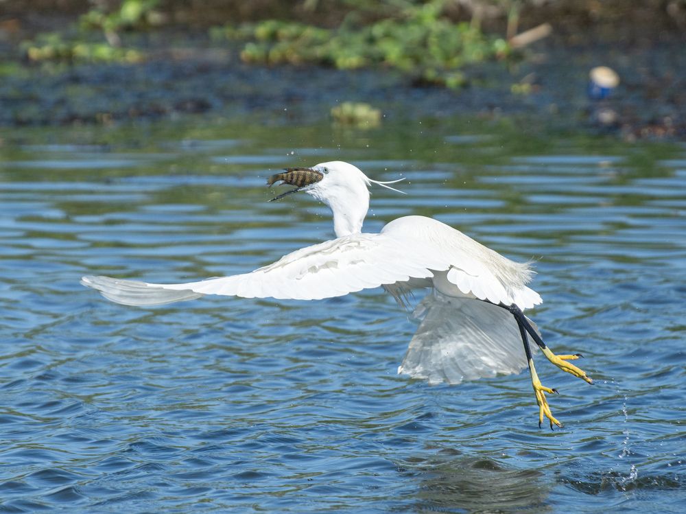 Photograph by Mohammed Abuelgasim