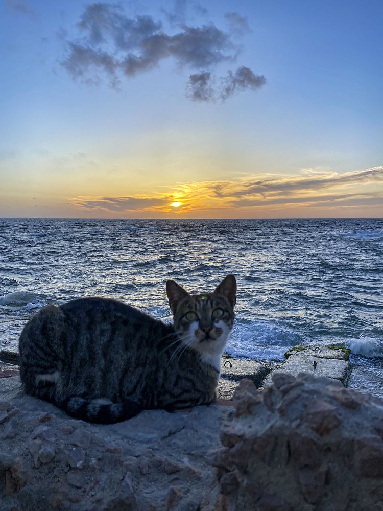 Photograph by Youssef Sabry