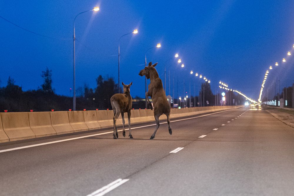 Photograph by Иван Грачев