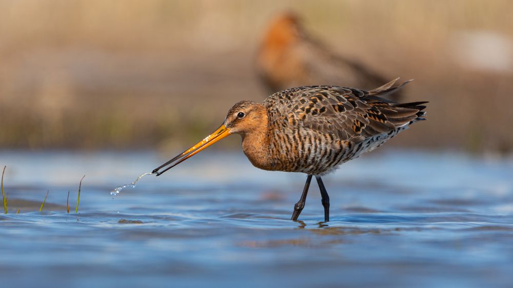 Photograph by crashfil