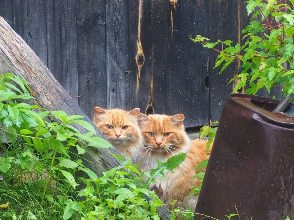 Photograph by Ольга Панкова