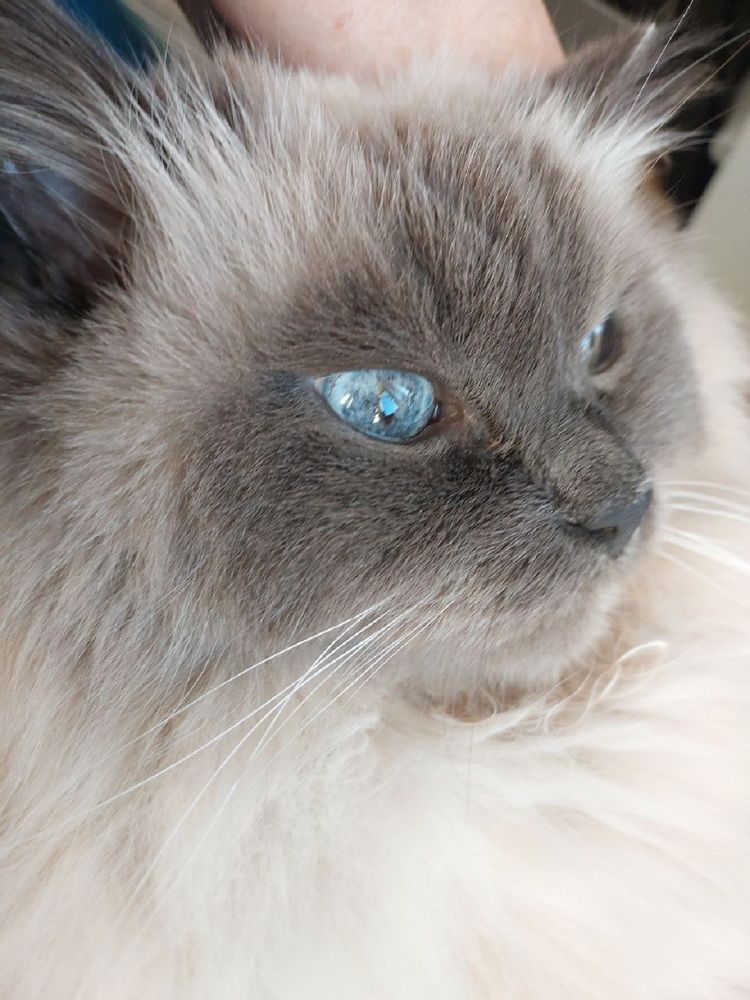 Photograph by Ольга Панкова