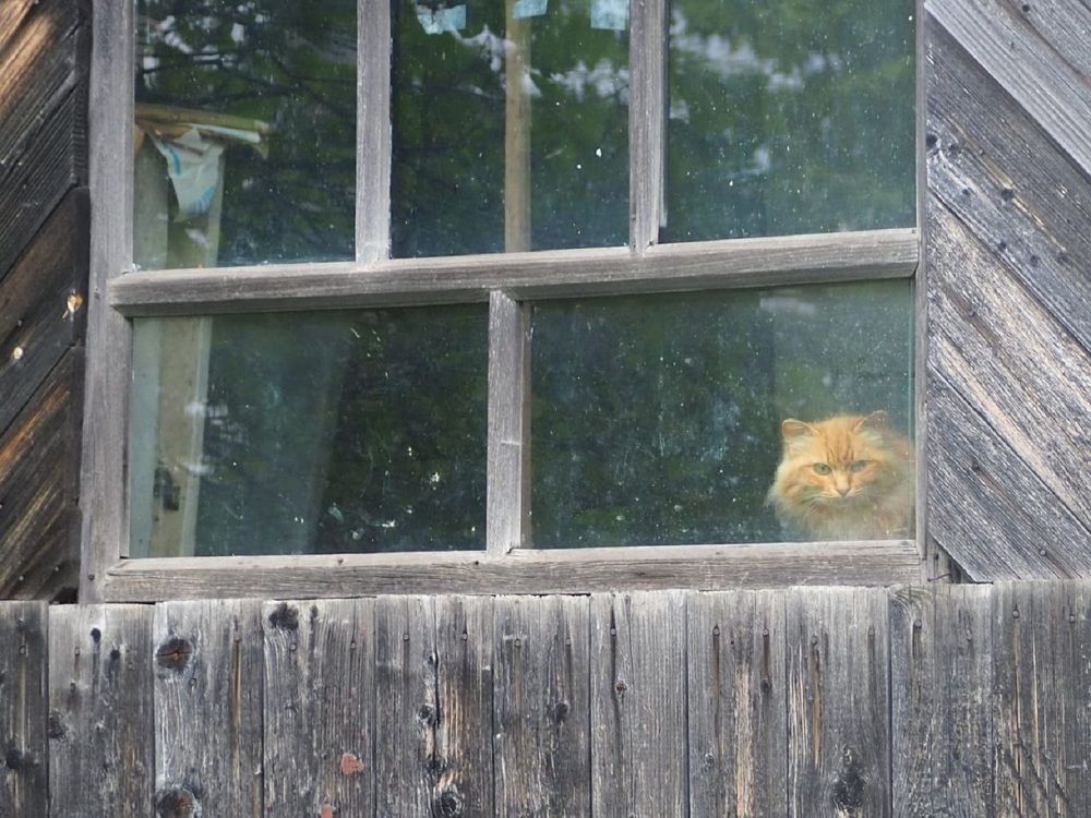 Photograph by Ольга Панкова