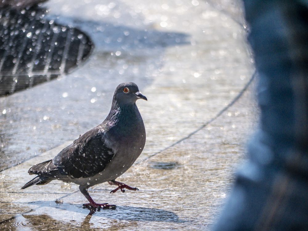 Photograph by Руслан Ибрагимов