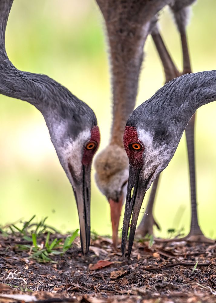 Photograph by Rose-Anne Reyes