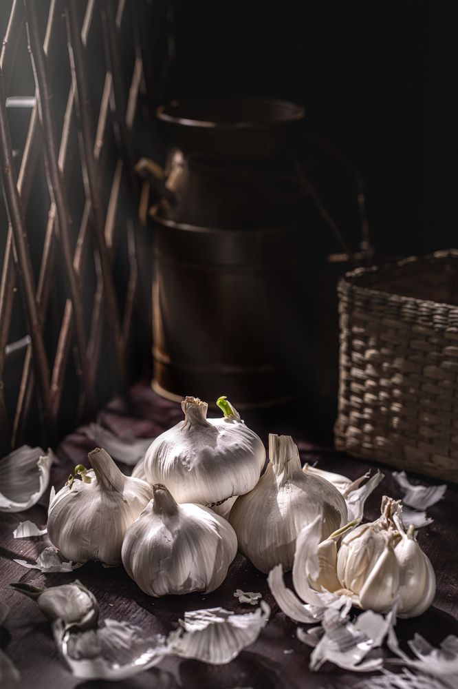 Photograph by roena mahjabin