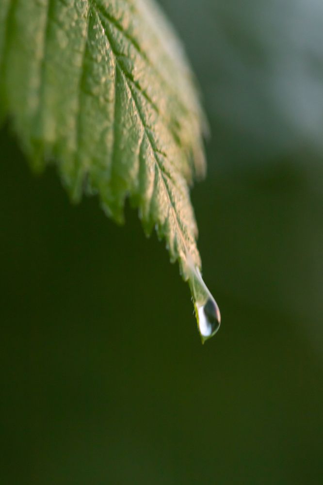 Photograph by Анна Оськина