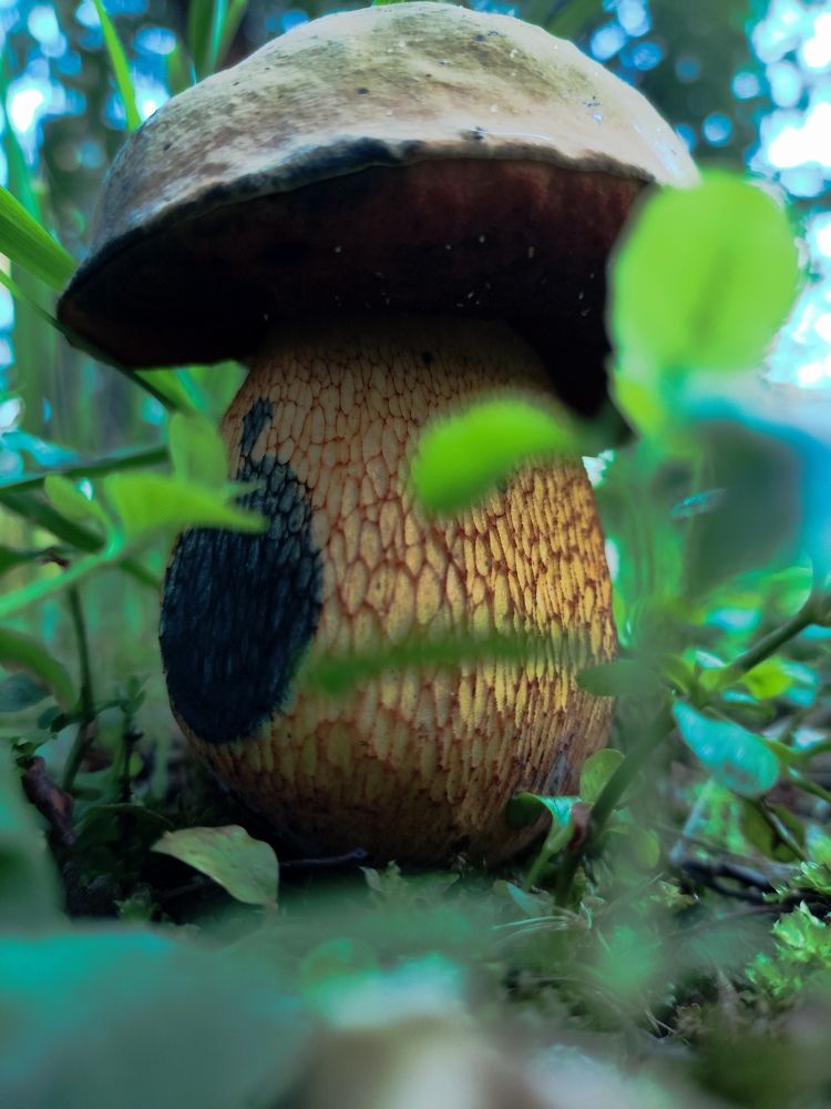 Photograph by Наталья