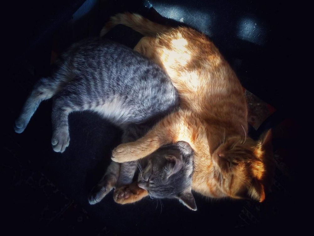 Photograph by Александра Почечуева