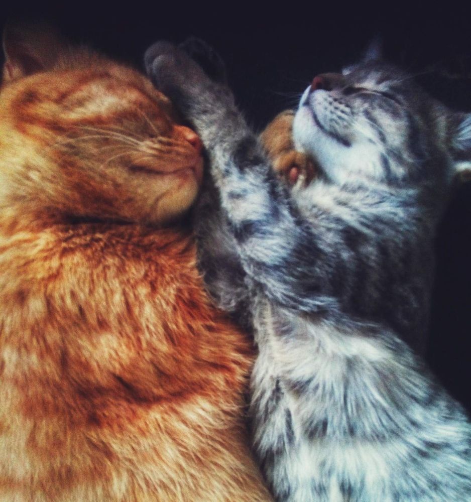 Photograph by Александра Почечуева