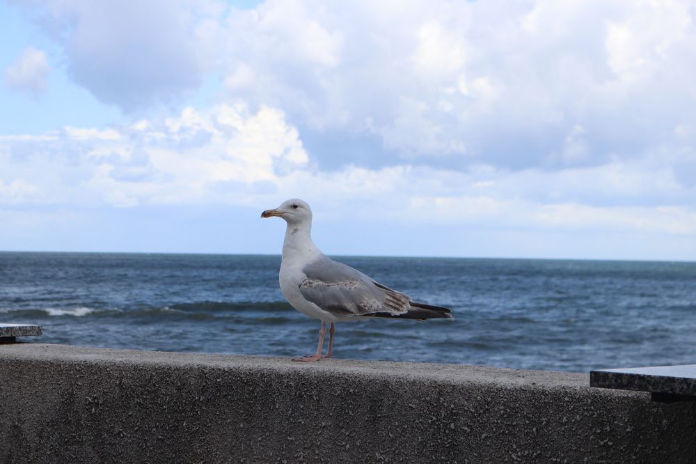 Photograph by Николай