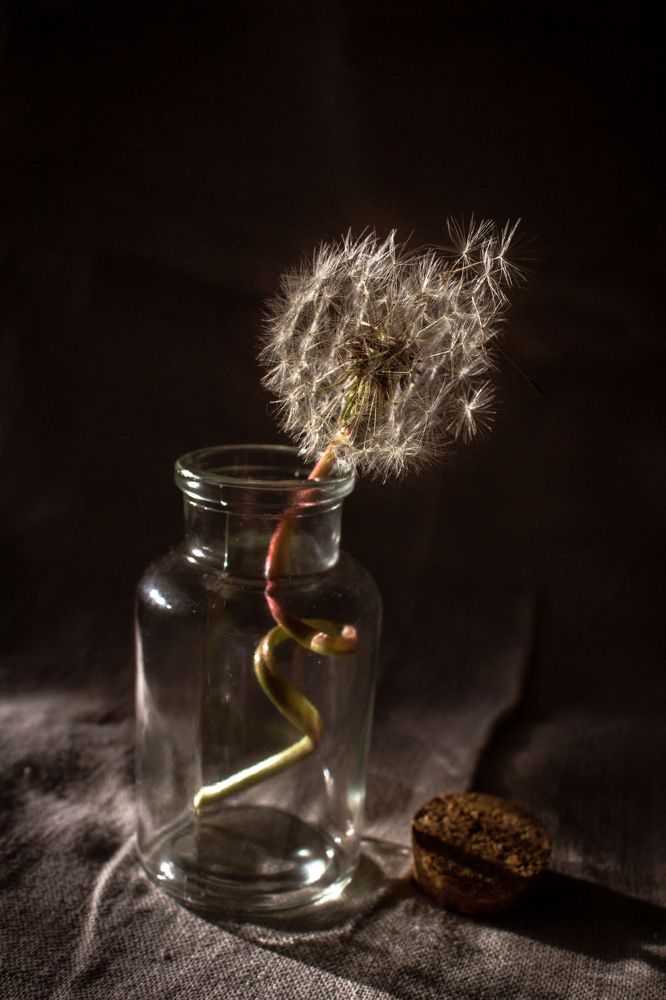 Photograph by Ольга Сергеенко