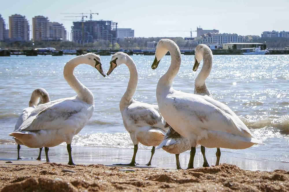 Photograph by Евгений Киселев