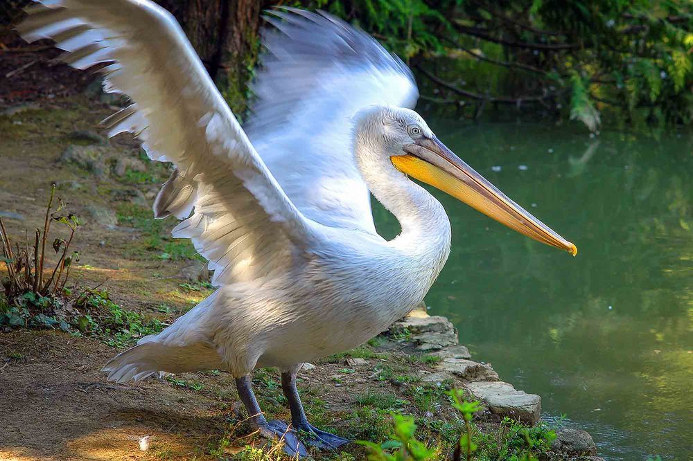 Photograph by Евгений Киселев