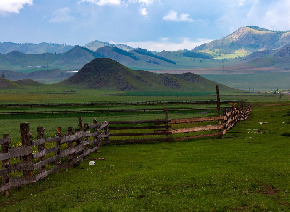 Фотография автора Totoro