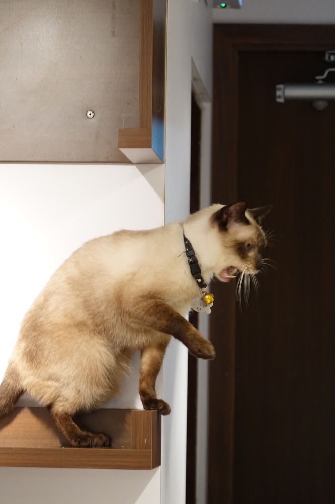 Фотография автора Chan King Lok