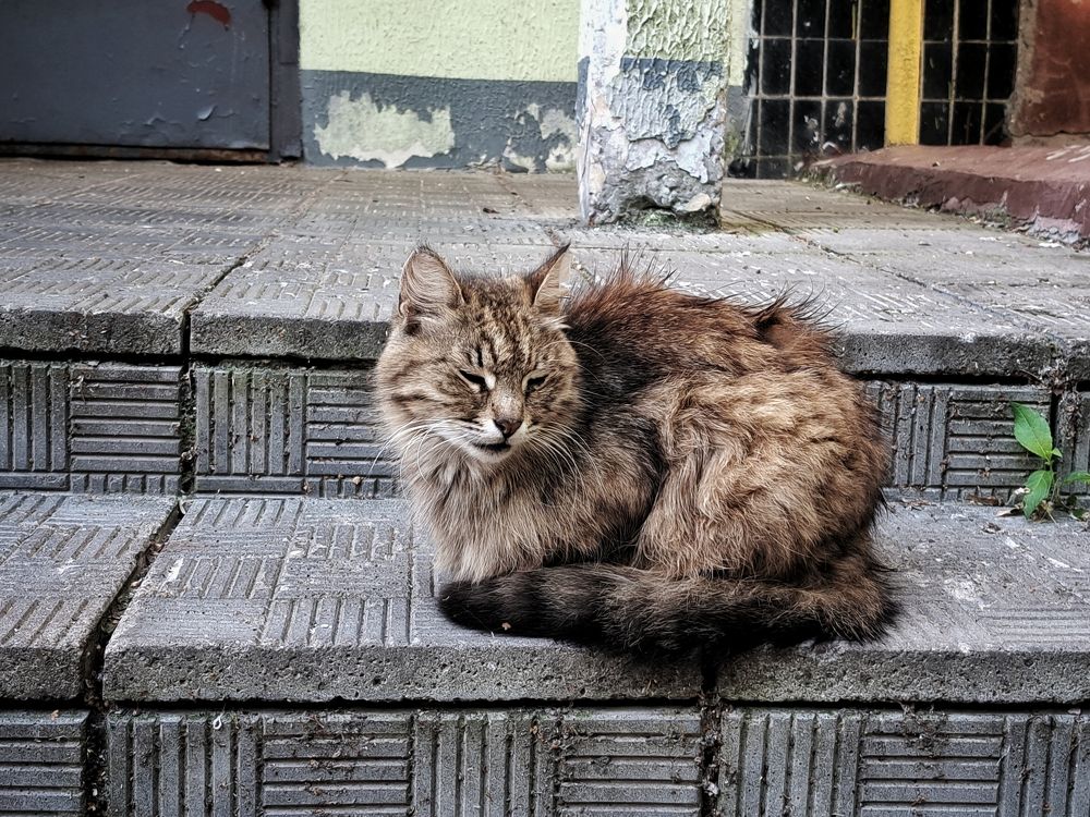 Photograph by Денис Прохоров