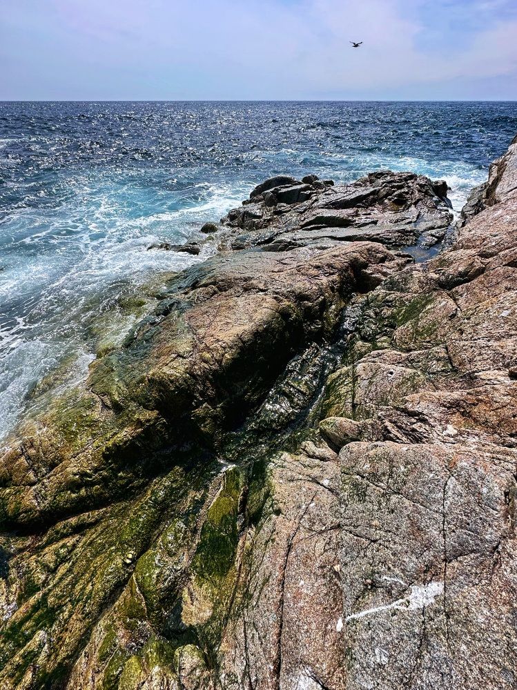 Photograph by Stanislav Borodinov