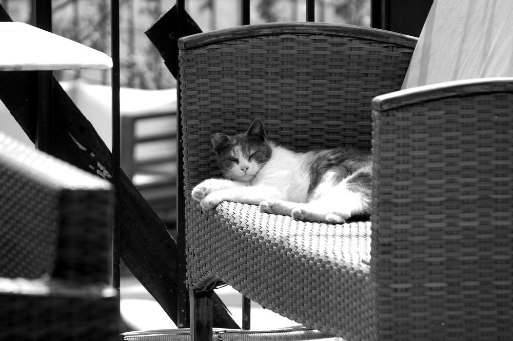 Photograph by Лена Максимкина