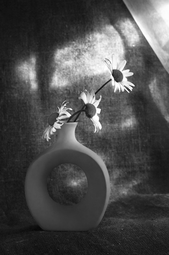 Photograph by Akhmetova Olga