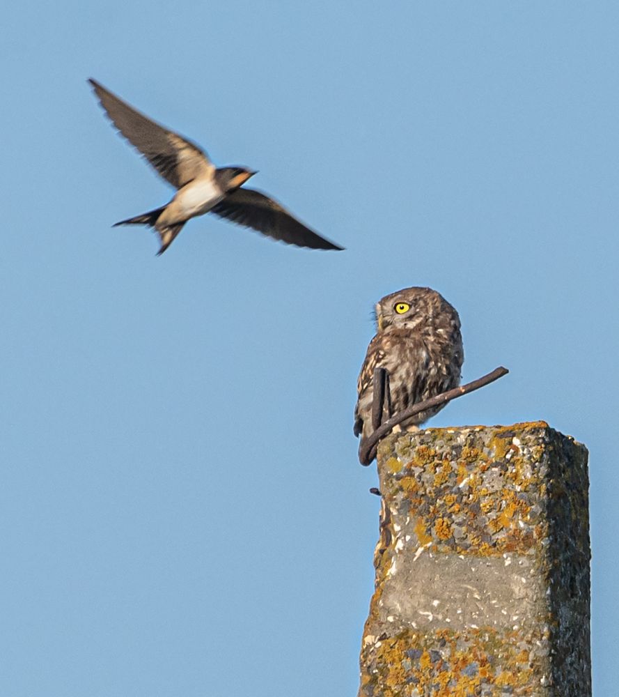 Photograph by Савчук Сергей