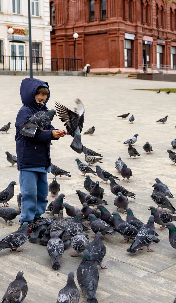 Photograph by Воробьёв Константин