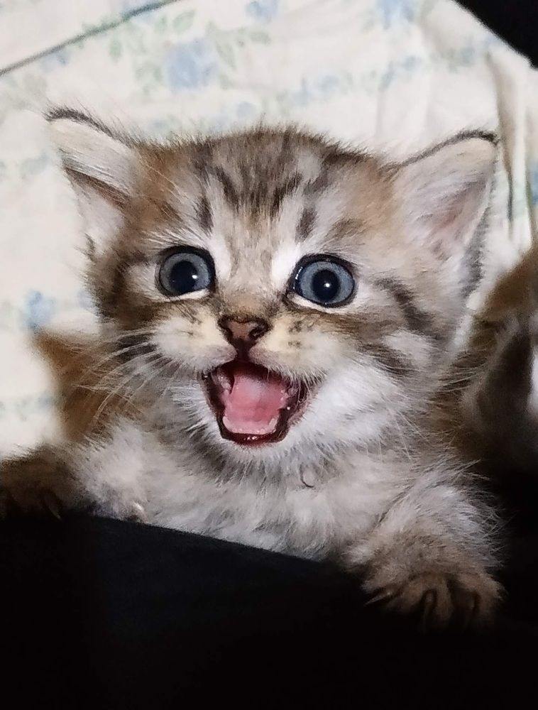 Photograph by Людмила Казак