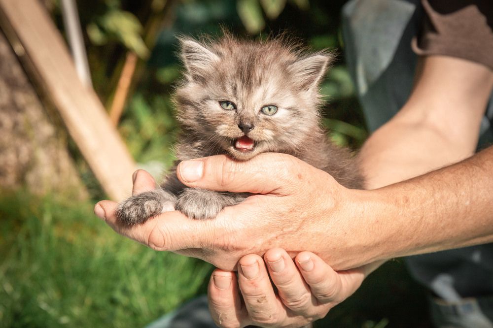 Photograph by Людмила Казак