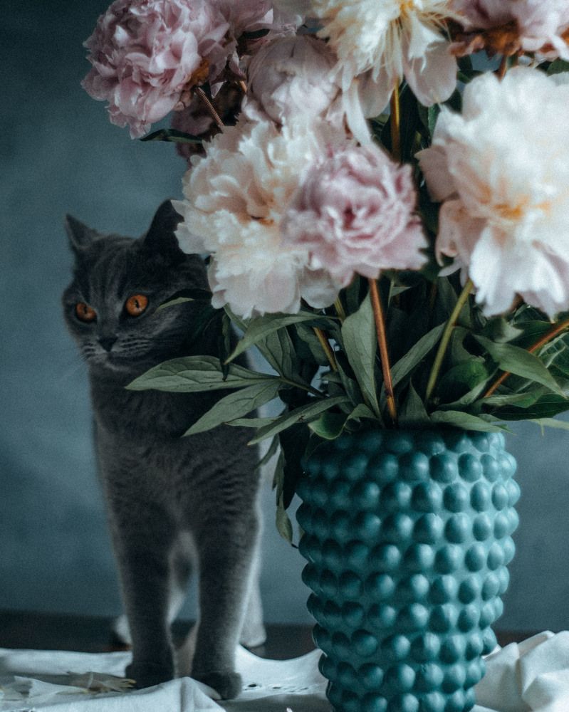 Photograph by Nelli Polle