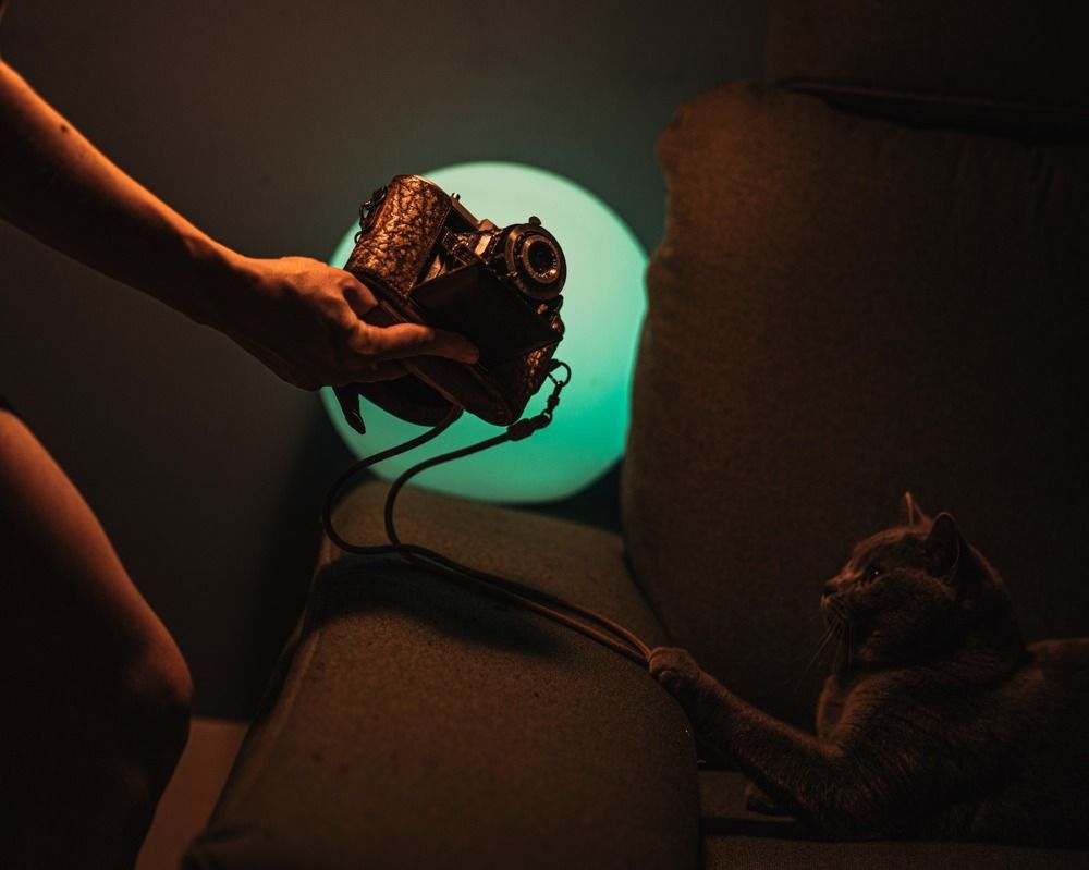 Photograph by Nelli Polle