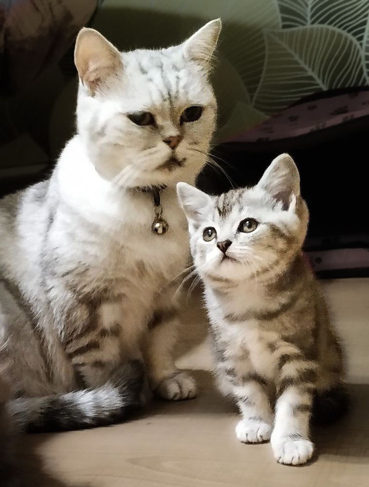 Photograph by Людмила Казак