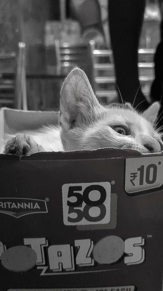 Photograph by PRABANJAN KARUPPUSAMY