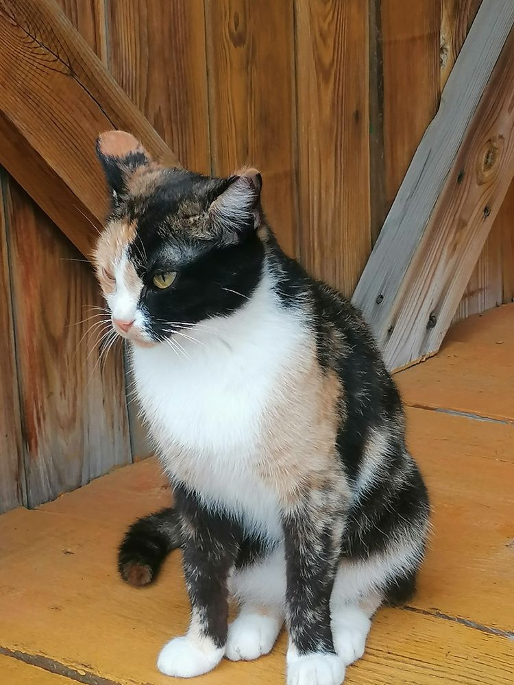 Photograph by Наталья Петухова