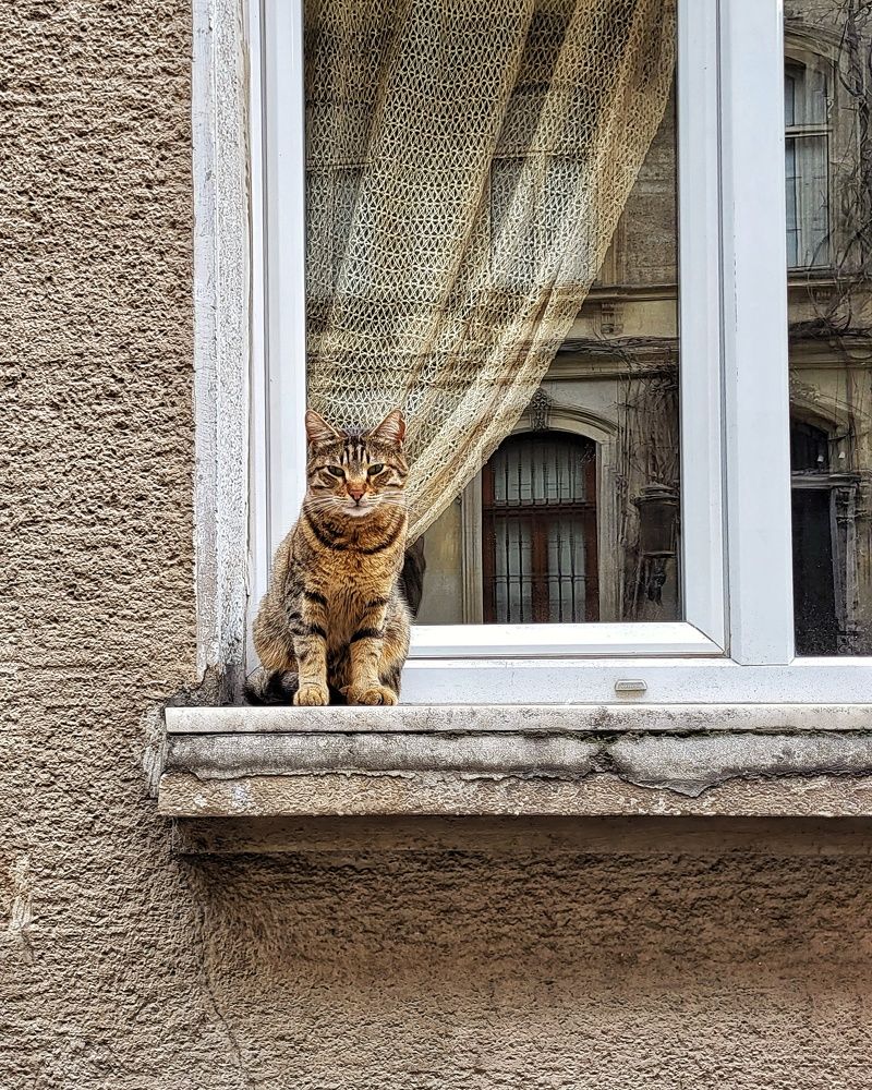 Photograph by Nelli Polle