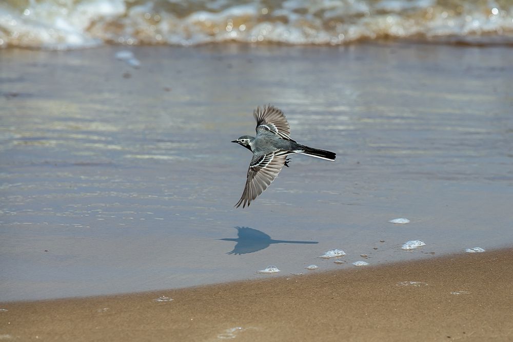 Photograph by Наталья Катюжанская
