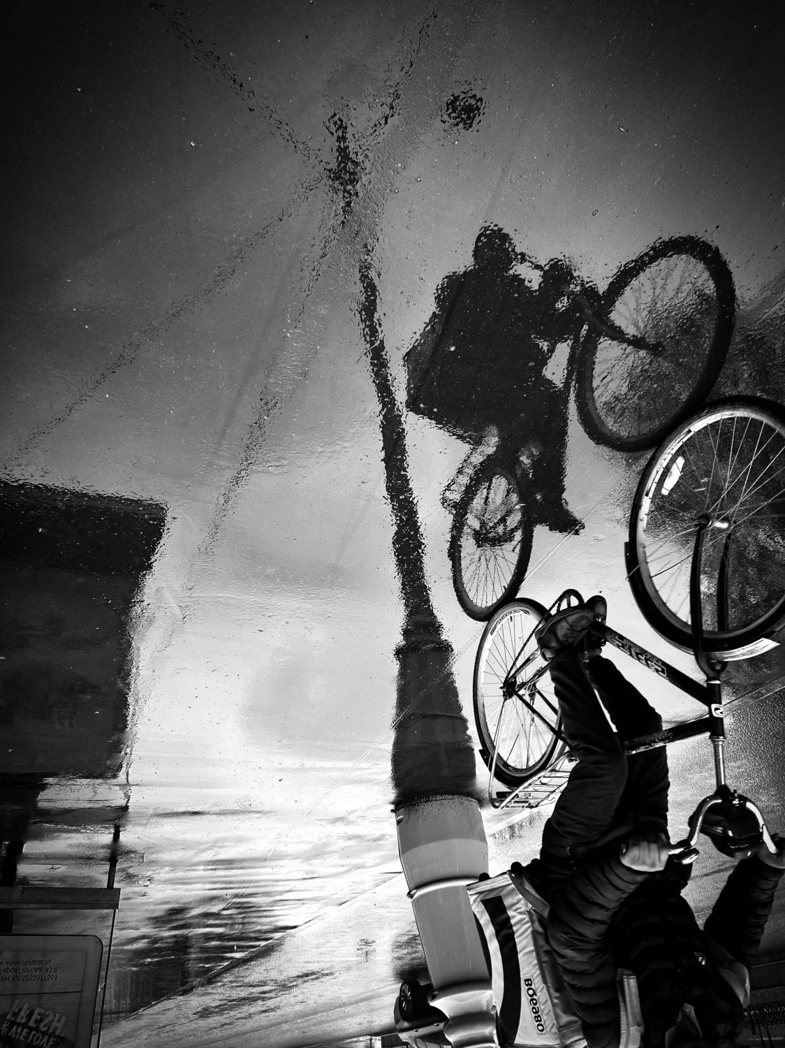 Photo #10812399